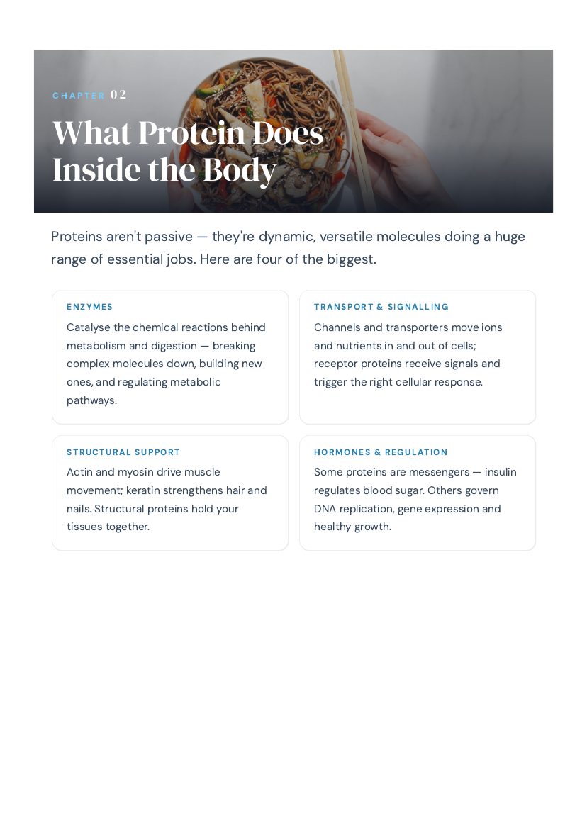 A real page from inside Protein Playbook